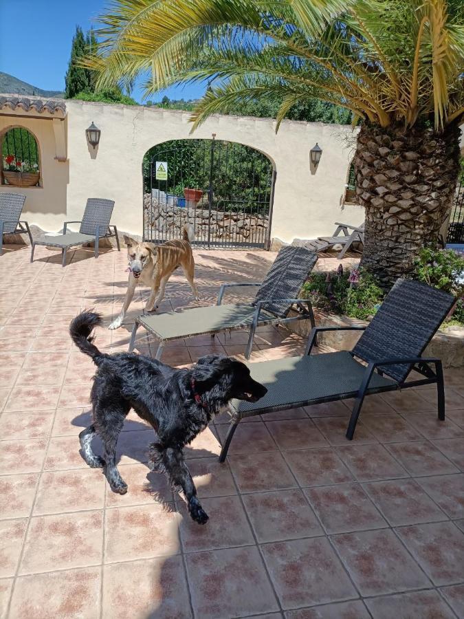 Villa Lobos Lliber Dış mekan fotoğraf