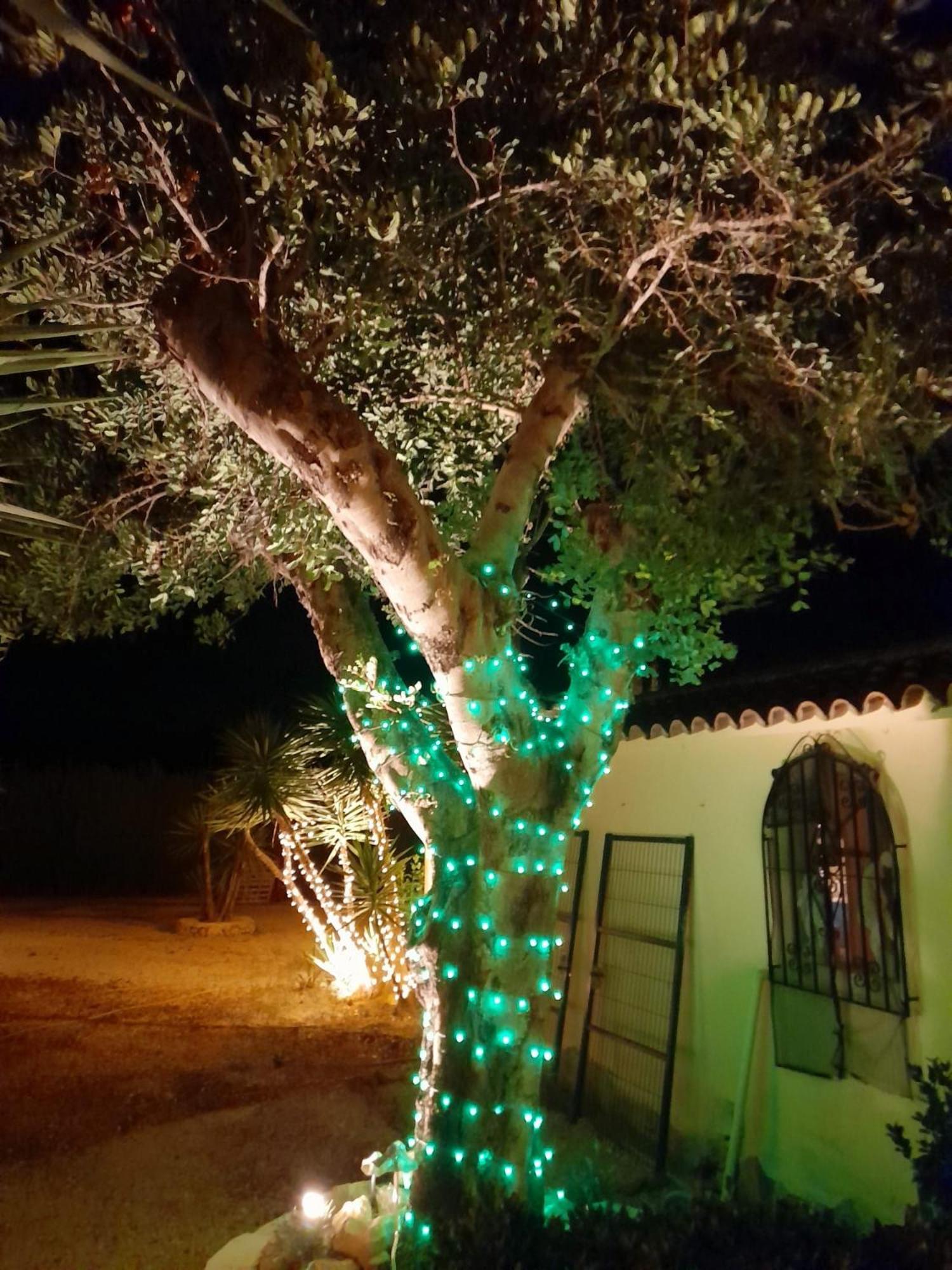 Villa Lobos Lliber Dış mekan fotoğraf
