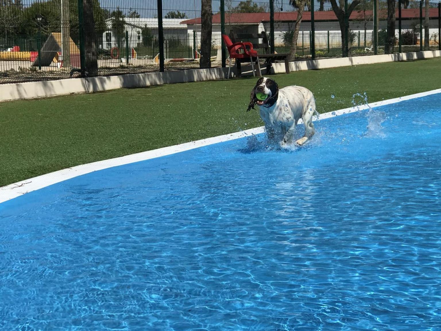 Villa Lobos Lliber Dış mekan fotoğraf