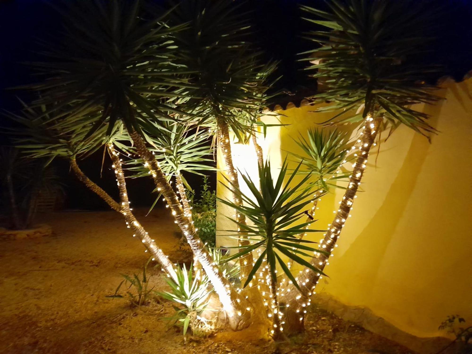 Villa Lobos Lliber Dış mekan fotoğraf