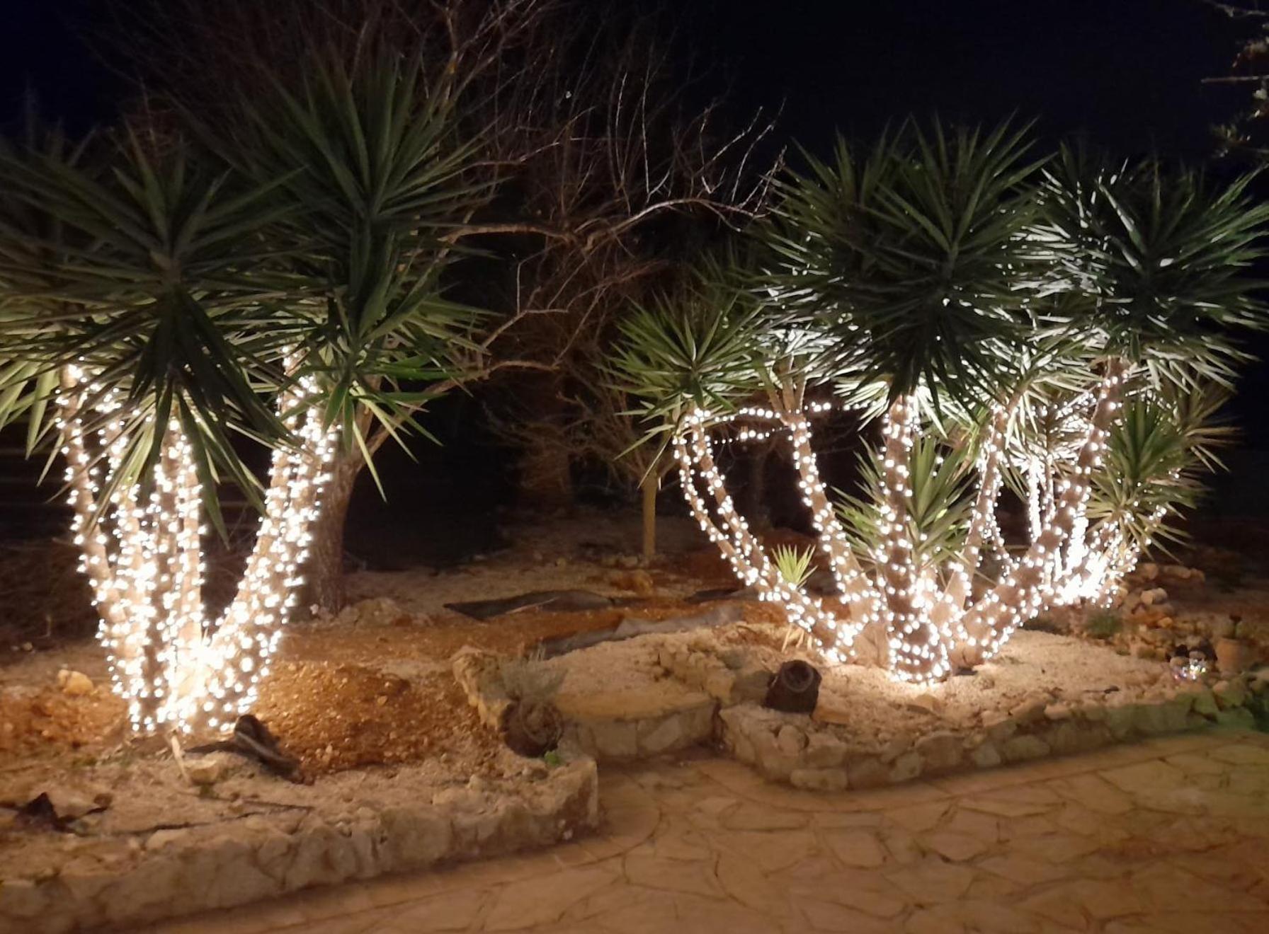 Villa Lobos Lliber Dış mekan fotoğraf